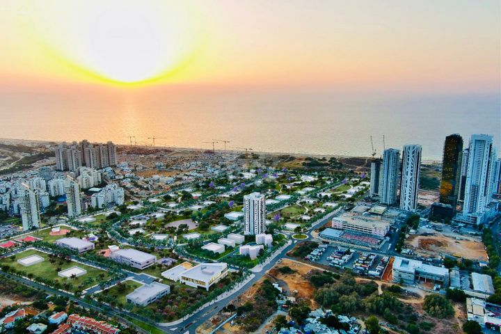שושנה דמארי 
