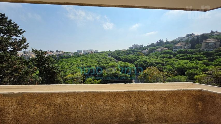 מרכז הכרמל