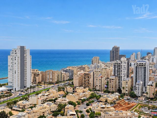 אמנון ליפקין שחק 
