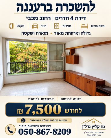 מכבי 