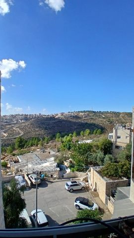 המרגלית 