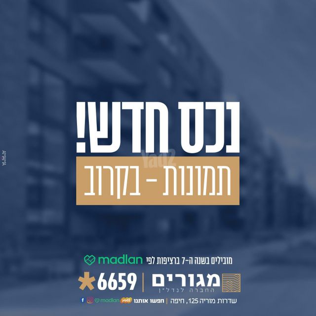 החיננית 