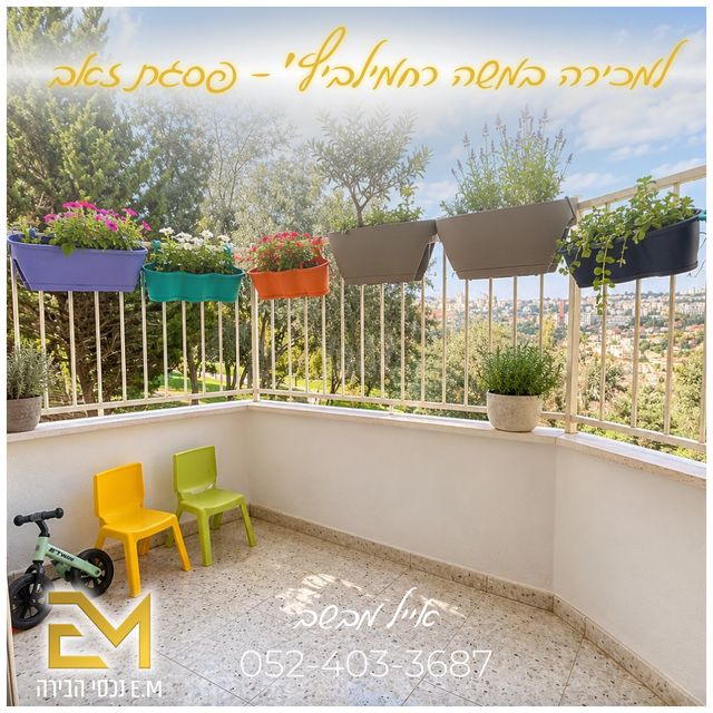 משה רחמילביץ' 