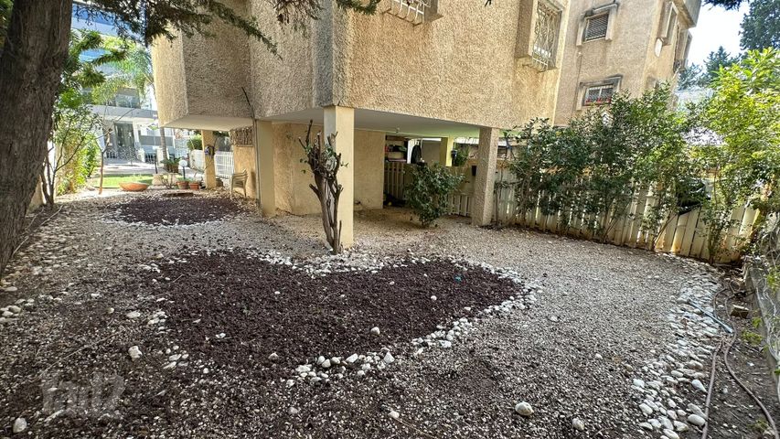 ריינס 