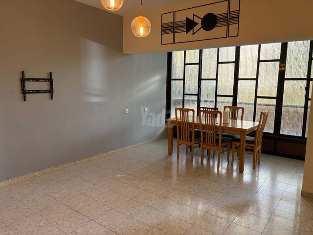 אריה שנקר 48