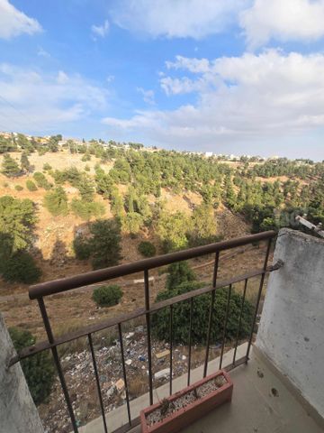 בן גוריון כנען