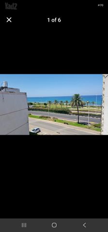 הרותם 23