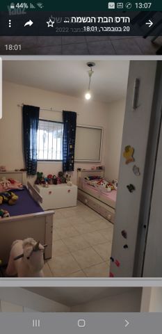 הרקפת 73