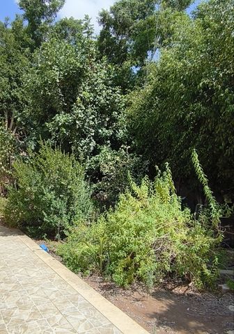 בית פרטי/ קוטג'