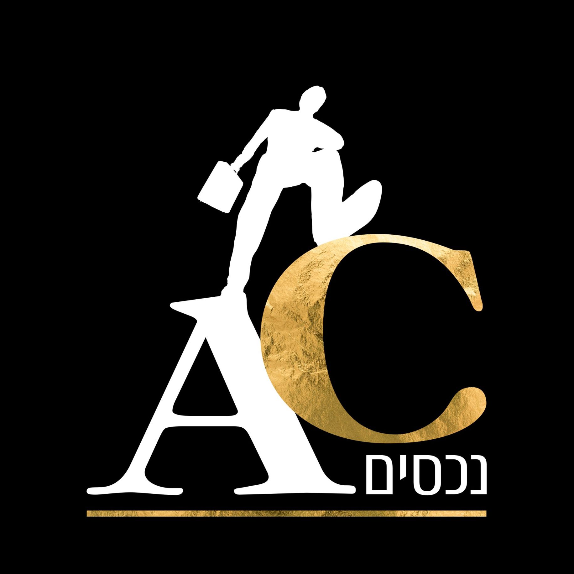 AC נכסים