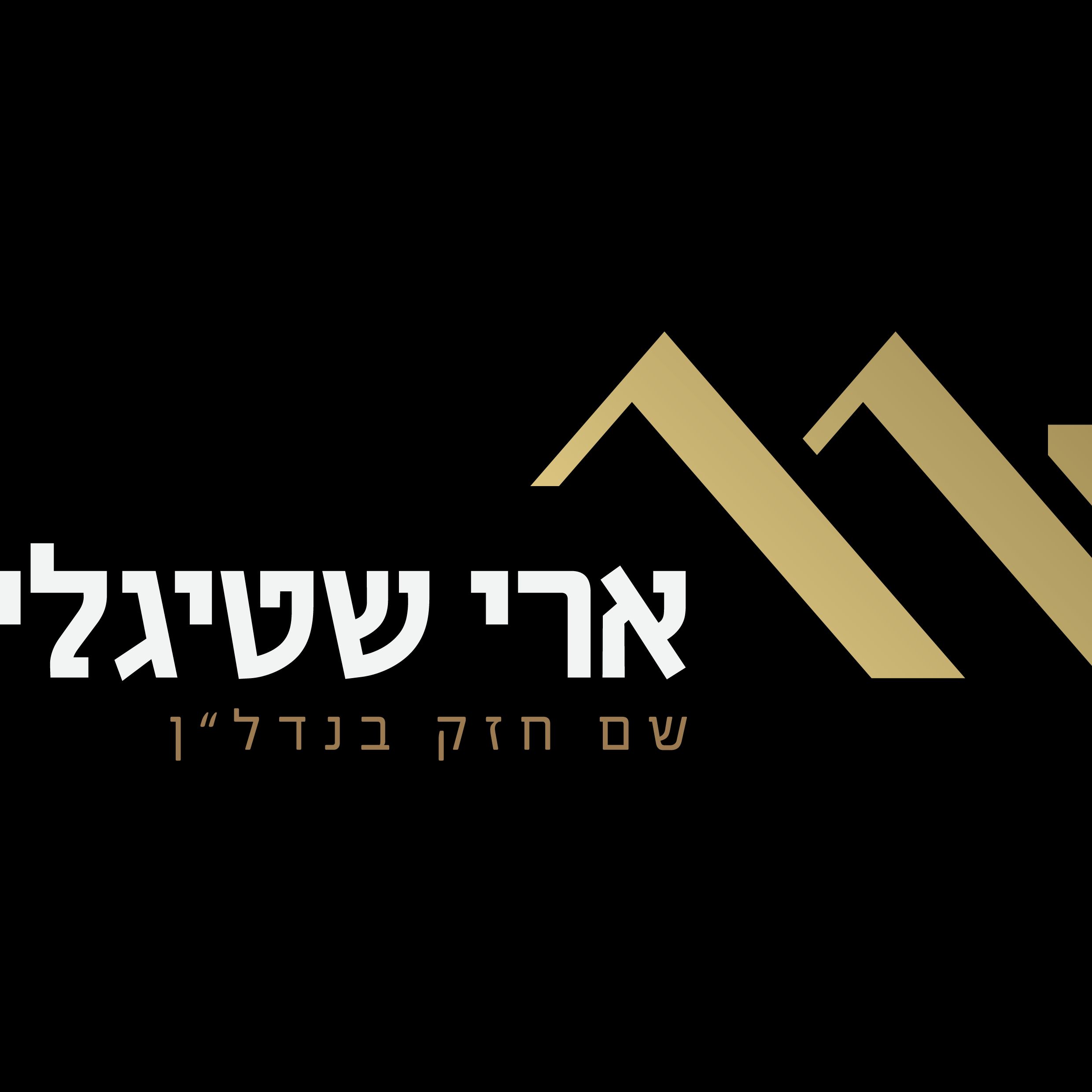 ארי שטיגליץ