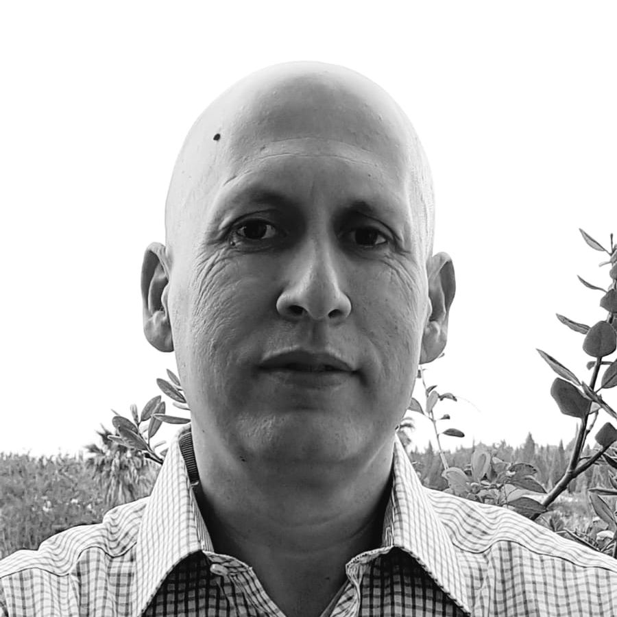 עמית סלומון