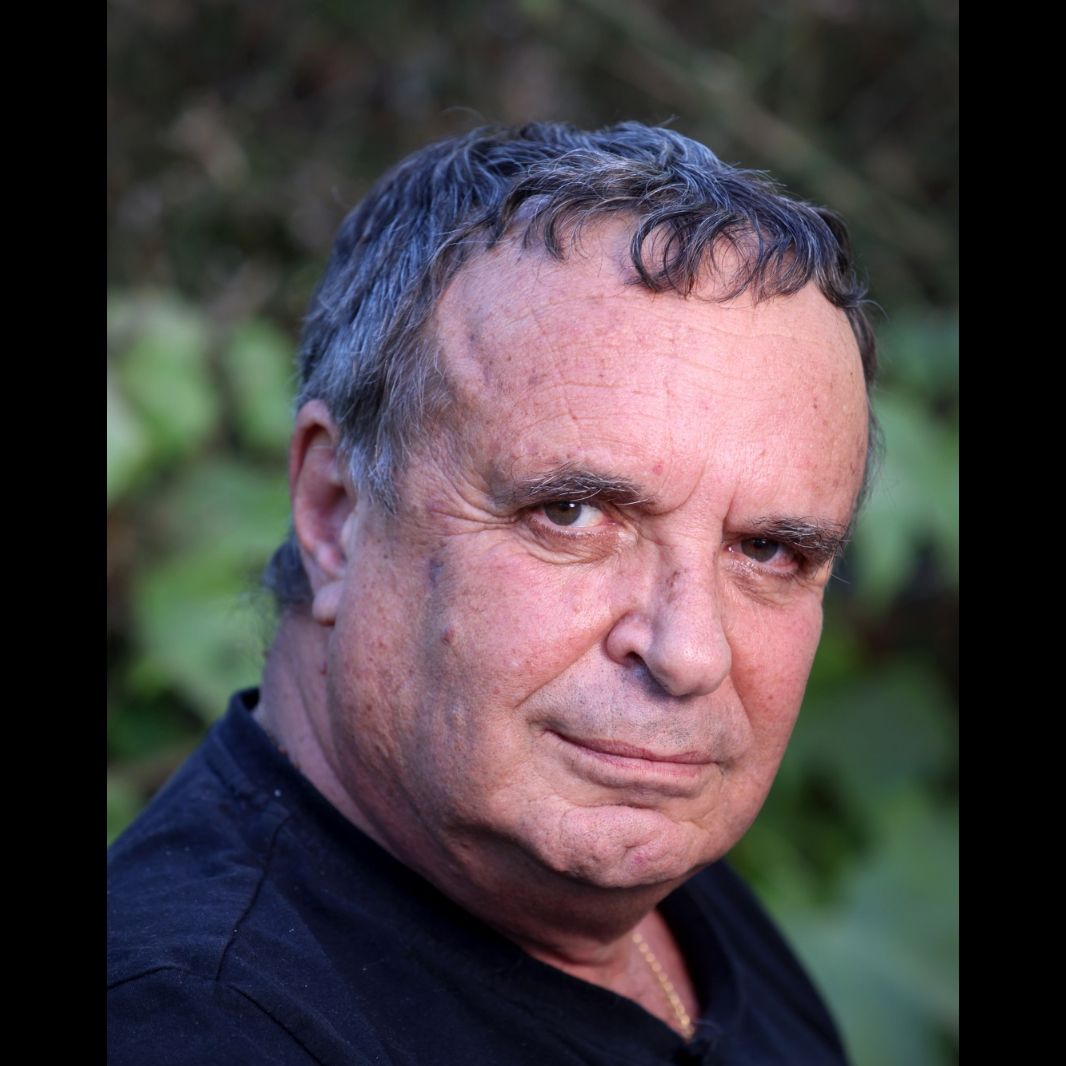 מאיר דינר