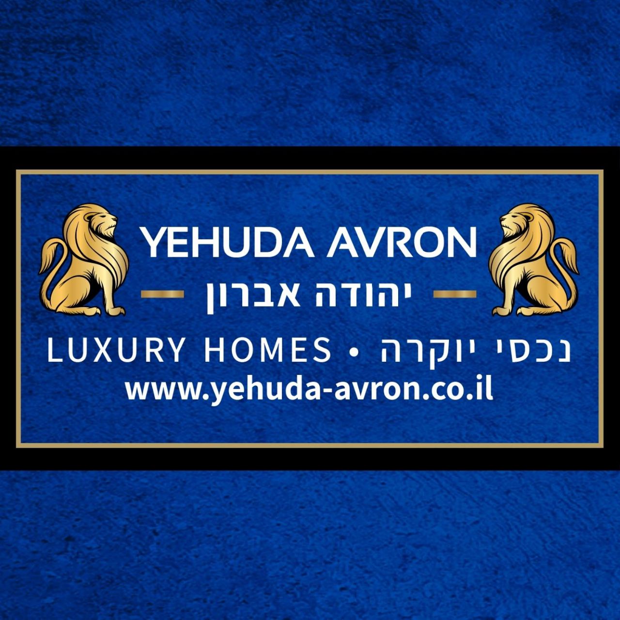 יהודה אברון